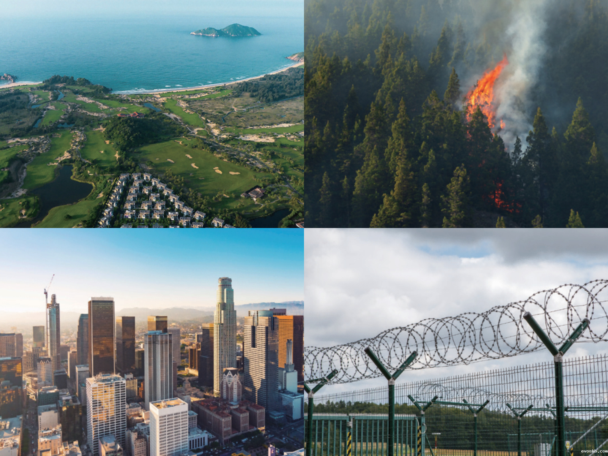 图片8(1) 图片8(1)